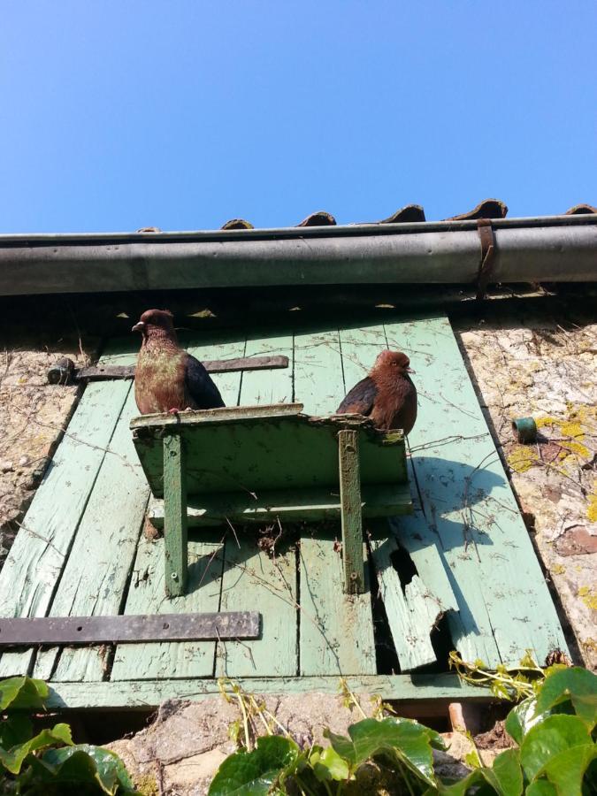 مبيت وإفطار Baincthun Petit Manoir De La Berthenlaire المظهر الخارجي الصورة