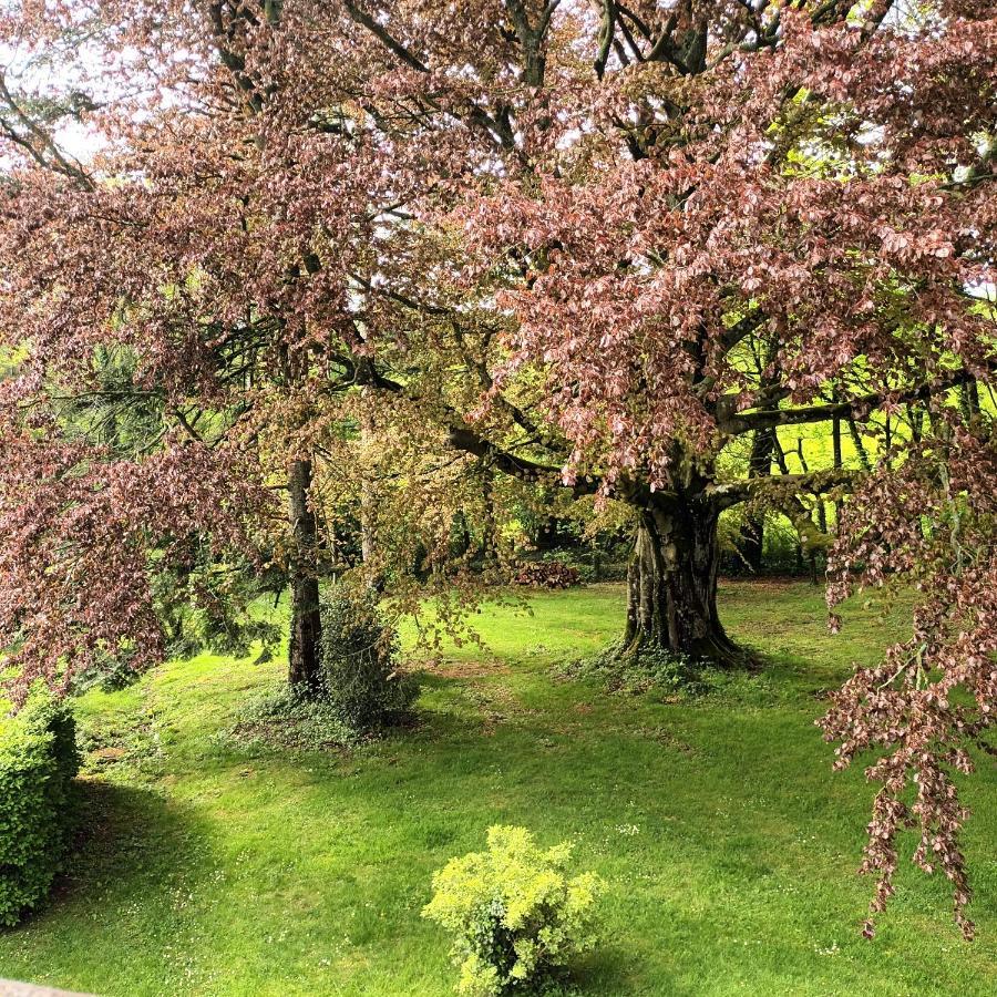 مبيت وإفطار Baincthun Petit Manoir De La Berthenlaire المظهر الخارجي الصورة